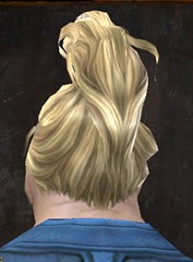 gw2-new-hairstyles-norn-male-1-3