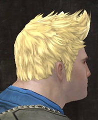 gw2-new-hairstyles-norn-male-2-2