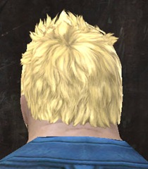 gw2-new-hairstyles-norn-male-2-3
