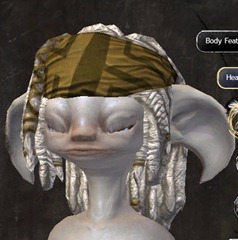gw2-new-hairstyles-asura-male-1