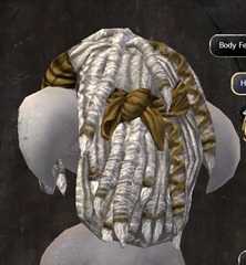 gw2-new-hairstyles-asura-male-1-3