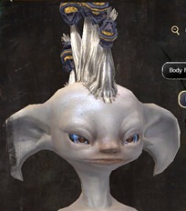 gw2-new-hairstyles-asura-male-2-1