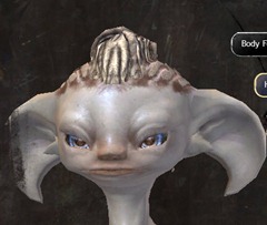 gw2-new-hairstyles-asura-male-3-1