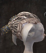 gw2-new-hairstyles-asura-male-3-2