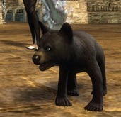gw2-mini-bear-cub-2