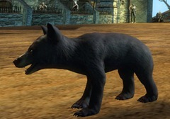 gw2-mini-bear-cub