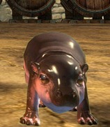 gw2-mini-hippo-calf