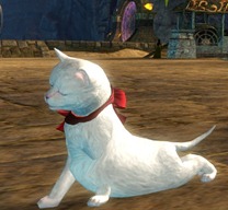 gw2-mini-white-kitten-gemstore