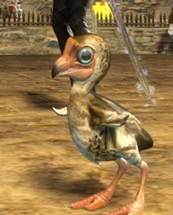 gw2-mini-moa-chick-2