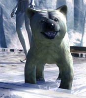 gw2-mini-polar-bear-cub-3