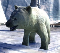 gw2-mini-polar-bear-cub-4
