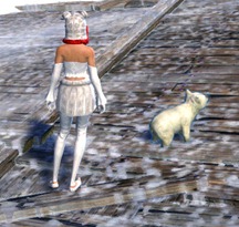 gw2-mini-polar-bear-cub