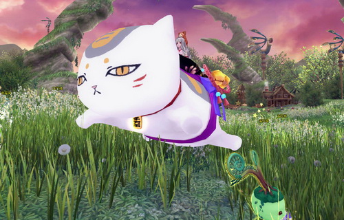 圆滚滚 我猫咪老师依然可以健步如飞