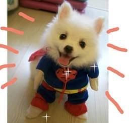  神吐槽：来治猩猩的你，各种奇葩挂机理由