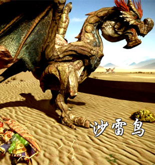 封测新怪：沙雷鸟 