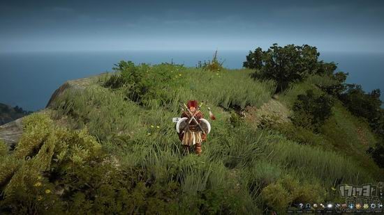 黑色沙漠,玩家评测,沙盒,动作最新图片