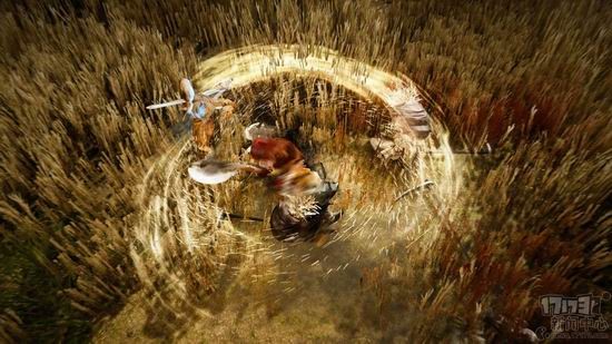 黑色沙漠,玩家评测,沙盒,动作最新图片