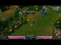 JY高分局 电1钻1打野蜘蛛职业养猪