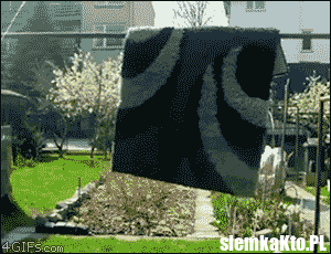 4号Q&A：狮子装甲都在他的炮盾上面