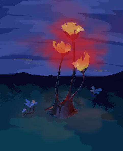 佛罗伦娜的艾泽拉斯草药学笔记外域篇之烈焰菇