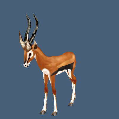 模型党:艾星物产野生动物篇不完全吐槽