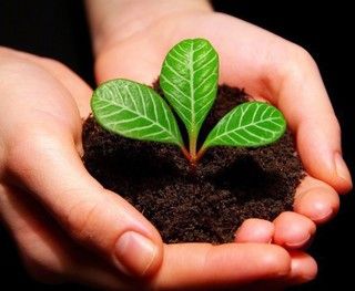 美服牧师Derras的成长之路以及JJC经验分享