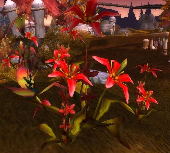 追梦的过程:艾泽拉斯深度游旅行随笔 第一季