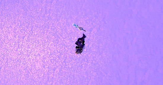 暴雪的成功并不是魔法：努力工作与开放思维