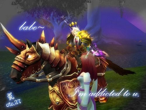 魔兽世界玩家图文故事：跨越无尽之海的寻觅