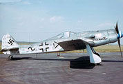 Fw-190