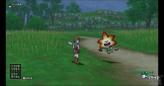 勇者斗恶龙10游戏截图