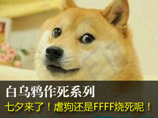 万万没想到之《七夕记》春宵虽好可不要肾亏喔！