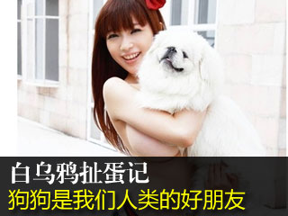 白乌鸦扯蛋记之《广告记》狗是人类的好朋友