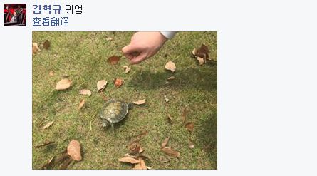 富二代Mata欲购豪车 SP卖萌求“送给我”