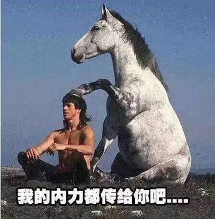 洋葱新闻：然而并没有什么用