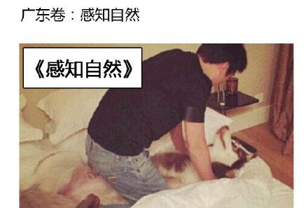 洋葱新闻：然而并没有什么用