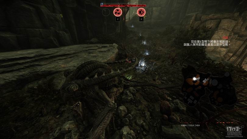 <!--infoKeyWord-->最新图片