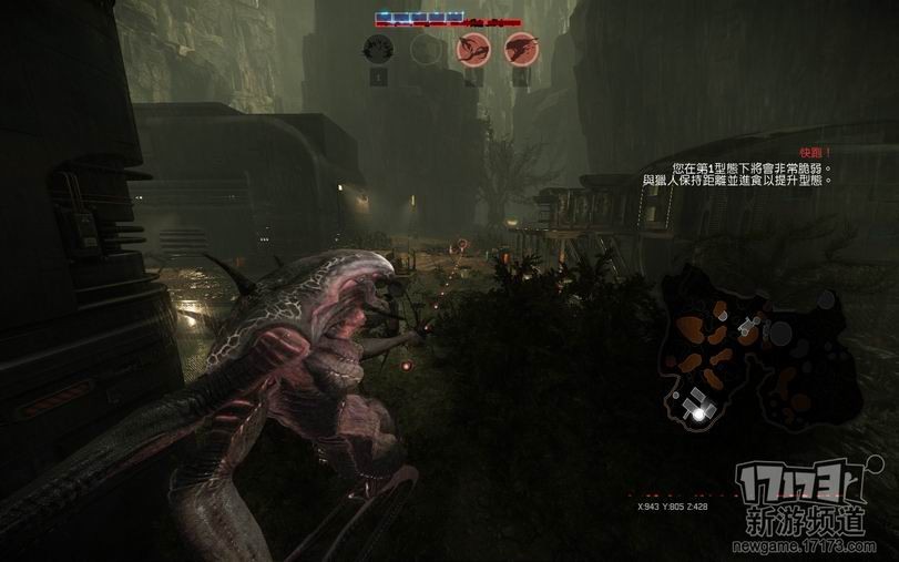 <!--infoKeyWord-->最新图片