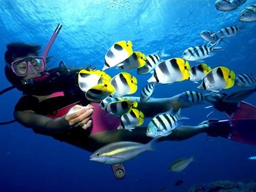 完美国际2最新图片