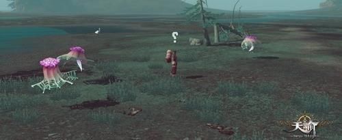 化身赏金猎人?《天谕》狩猎任务新手图文详解