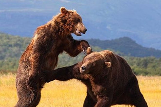 游戏新体位年终特别刊玩家篇：献给走在路上