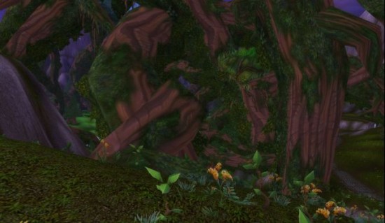 过去与现在:艾泽拉斯不同时代景色对比图