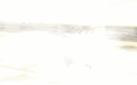 剑网3,轻功2.0,郭伟伟,剑3最新图片