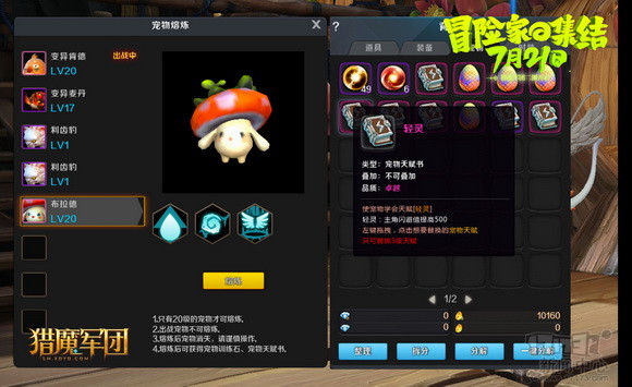 猎魔军团最新图片