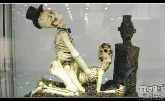 <!--infoKeyWord-->最新图片