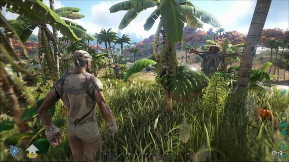 方舟生存进化国服