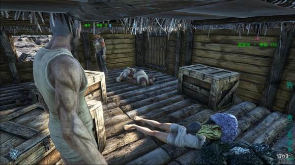 方舟生存进化国服