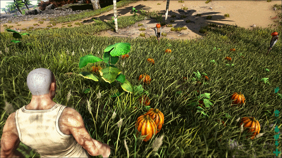 方舟生存进化国服