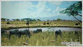 TGBUS_PS3_PS3新游戏《非洲》震撼新画面公布