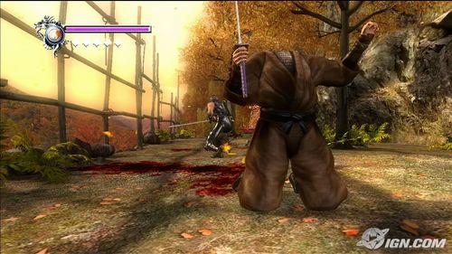 忍者龙剑传 忍者龙剑传